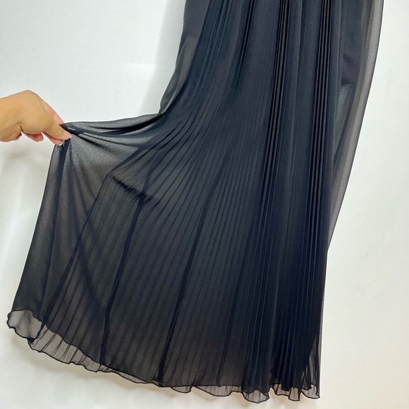 Zara Pleated Semi-Sheer Maxi Skirt - Picture 5 of 9